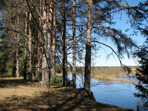 File:Vozhegodskiy r-n, Vologodskaya oblast', Russia - panoramio (77 ...