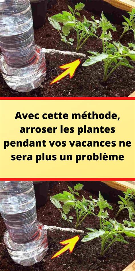 Avec Cette M Thode Arroser Les Plantes Pendant Vos Vacances Ne Sera