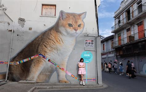 Nasce La Strada Dei Gatti A Shanghai Murales E Opere D Arte Per