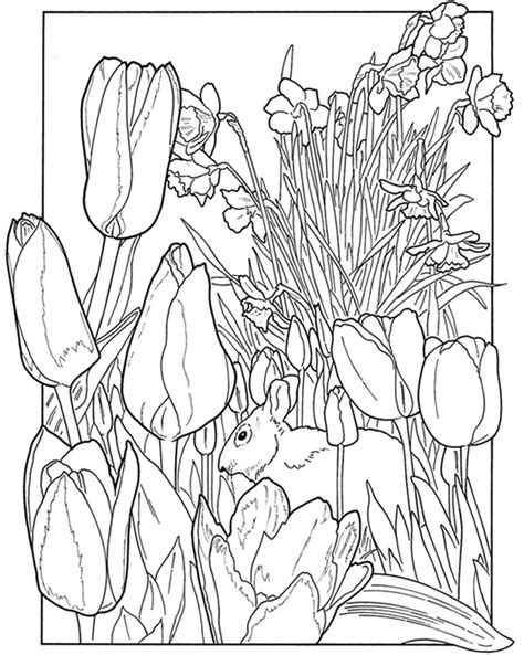 Coloriage Saison Printemps 165012 Nature Dessin à colorier