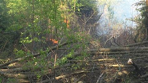 Waldbrand in Stemel schnell gelöscht