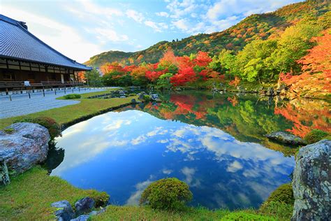 天龍寺 紅葉