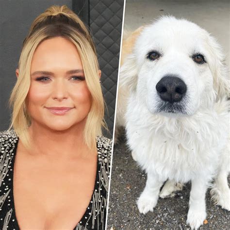 Miranda Lambert reveals death of her dog Thelma: 'It hurts so bad'