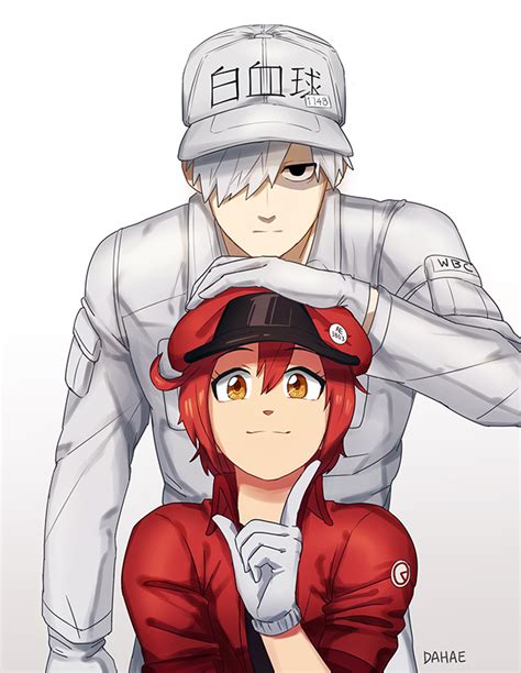 White Blood Cell Red Blood Cell Ae And U Hataraku Saibou