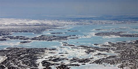 Eastern Arctic And Subarctic Arctic Afsi