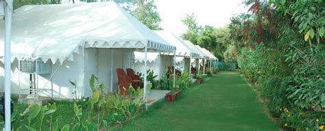 Tiger Machan Ranthambore Book Now And Enjoy