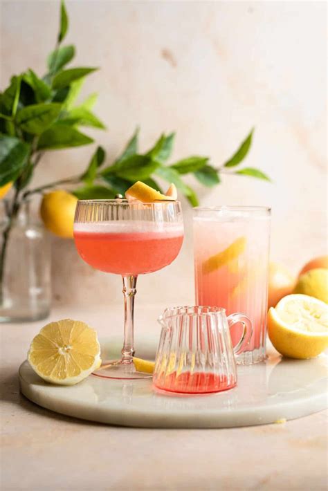 Campari Gin Fizz + Campari Gin Sour - Well Seasoned Studio