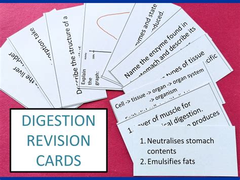 Digestion Revision Cards Teaching Resources