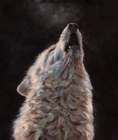 Arctic Wolf Painting By David Stribbling Fine Art America