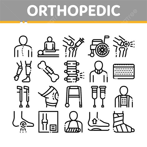 Orthopedic Vector Art Png Orthopedic Collection Elements Vector Icons