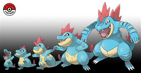 Totodile Evolution PNG Image Transparent PNG Free Download, 51% OFF