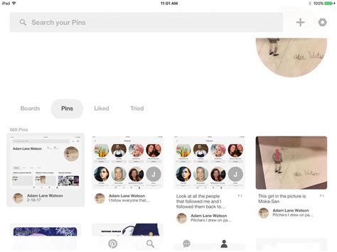 Look At All The Pins That I Have Pins 10 Things Shopping Screenshot