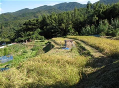 福岡自然農 散歩道（鏡山農園）