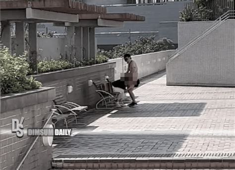 Man And Woman Engage In Sexual Intercourse In Public On A Park Bench