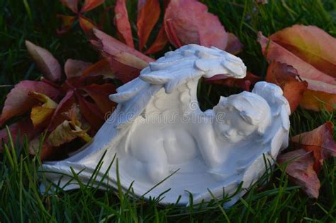 Naked Angel Photos Free Royalty Free Stock Photos From Dreamstime