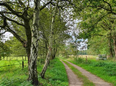 Meerhout Natuurwandeling Het Kruis Van De Hutten Dewereldvankaat