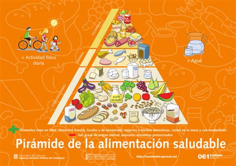 ¿cuál Es La Pirámide Alimentaria Adecuada Alimentando Otros Modelos