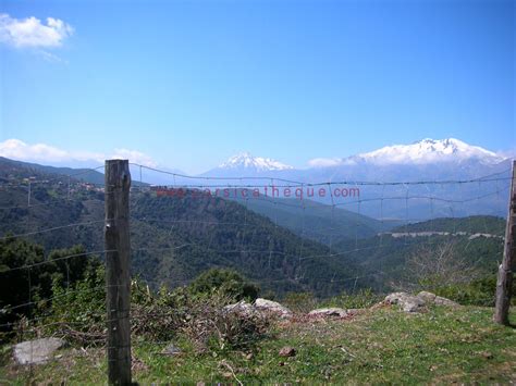 Boziu Au Printemps La Corse De L Int Rieur Territoires Accueil