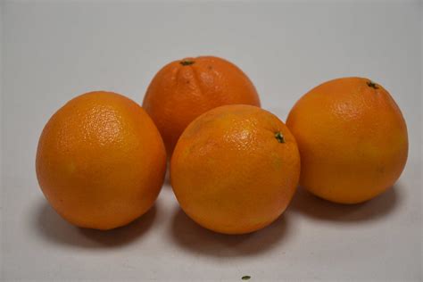 Appelsienen 4 stuks | Tgroentehuisjemoerzeke