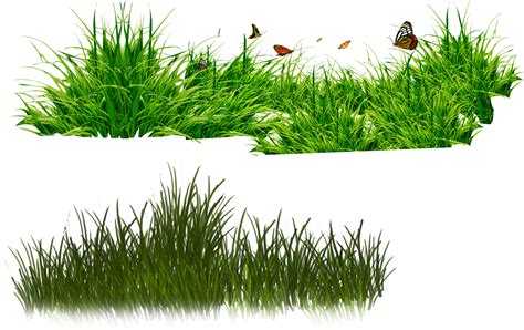 Grassland Plant Clipart 20 Free Cliparts Download Images On