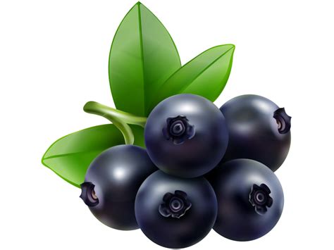 Blueberries Transparent Png Image