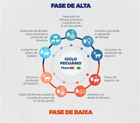 Ciclo Pecu Rio Onde Estamos Em Blog Premix