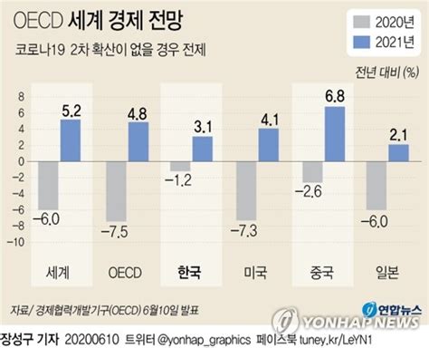 그래픽 Oecd 세계 경제 전망 연합뉴스