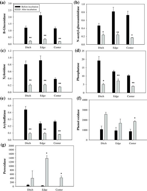 Enzyme Activities A B Glucosidase B N Acetyl Glucosaminidase