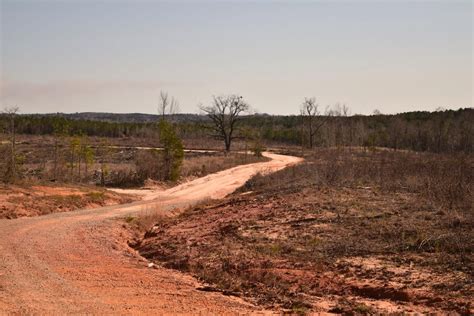 173 Acres In Crenshaw County Alabama