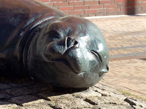 Skulptur Figur Seehund Kostenloses Foto Auf Pixabay