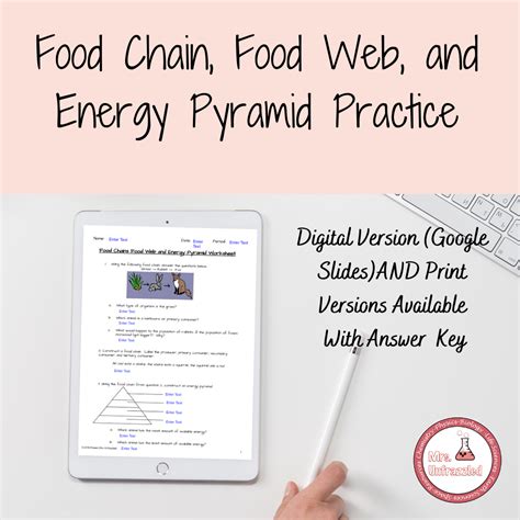 Energy Pyramid Worksheet