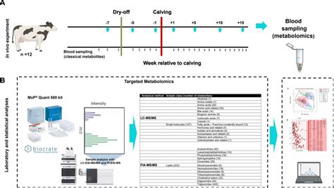 Longitudinal Characterization Of The Metabolome Of Dairy Cows