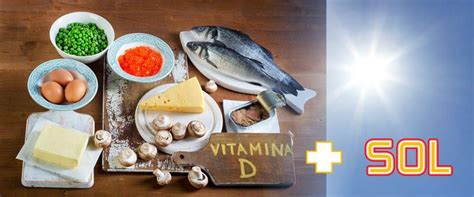 Alimentos Ricos Em Vitamina D Agenda Guia