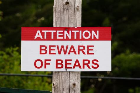 Bear Beware Sign stock image. Image of notice, sign, warning - 20031313