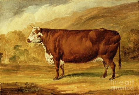 A Hereford Bull Painting By Joseph Of Worcester Dunn Pixels