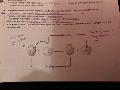 ATP And Energy Flashcards Quizlet