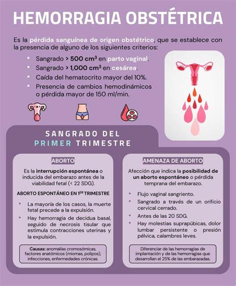 Sangrado Del Primer Segundo Tercer Trimestre Y Del Puerperio Javier