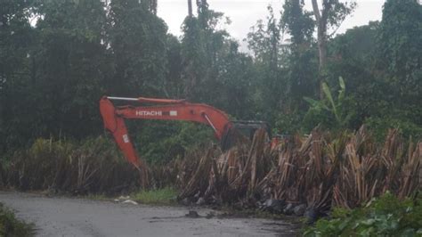 Pt Pnm Terus Buka Lahan Di Lembah Grime Nawa Jerat Papua