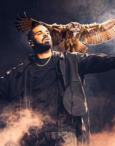 Drake Poster/ Drake Owl Poster/ Drake Print/ Drake Concert - Etsy