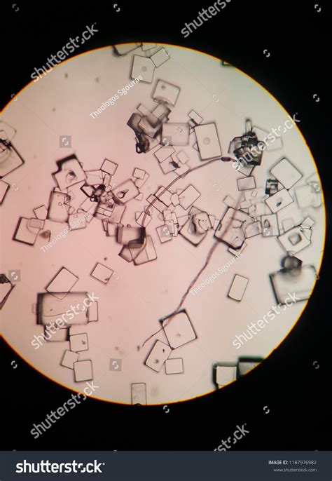 Photo Microscope Which We Observe Nacl Stock Photo Edit Now