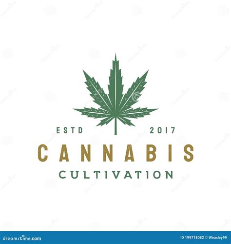 Vintage Cannabis Leaf Logo Design Stock Vector Illustration Of