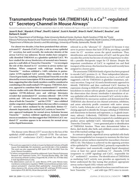 Pdf Transmembrane Protein A Tmem A Is A Ca Regulated Cl