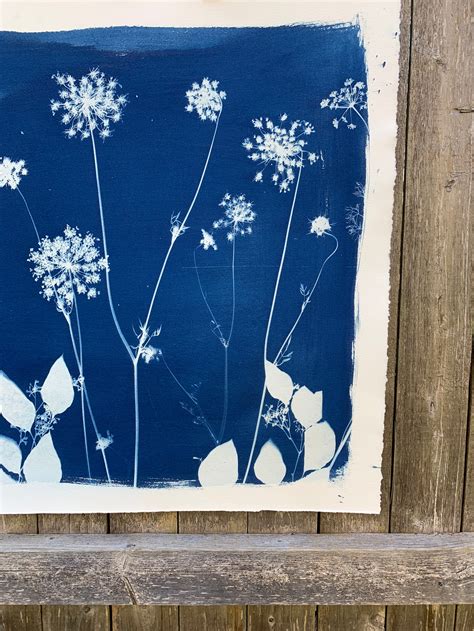 Cyanotype Print Cyanotype Art Sunprint Natural Home Decor | Etsy