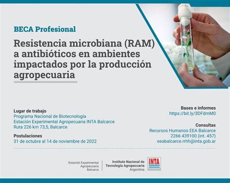 Oferta De Plaza Beca Profesional INTA Resistencia Microbiana A