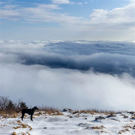 Hike Mount Greylock 4 Distinct Routes Up Mas Tallest Mountain