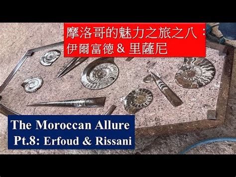 摩洛哥魅力之旅第8集 伊爾富德 里薩尼 穆萊阿里謝里夫的陵墓 Moroccan Pt 8 Erfoud Rissani