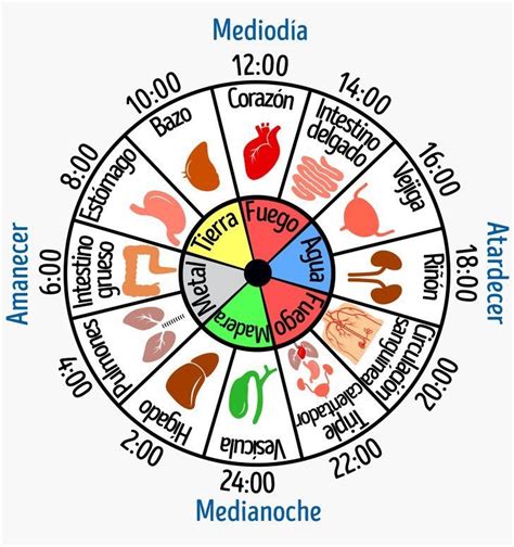 Pingl Par Gabriely Pereira Sur Medicina Chinesa Exercice De