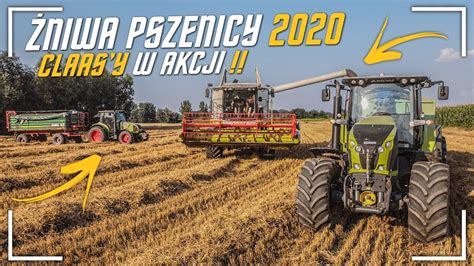 Żniwa Pszenicy 4x Claas w Akcji Tucano 420 Dominator 130 GR