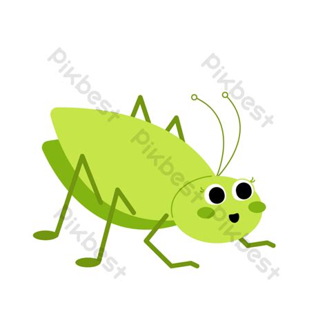 Cricket Insect Cartoon Free Vector Png Images Psd Free Download Pikbest