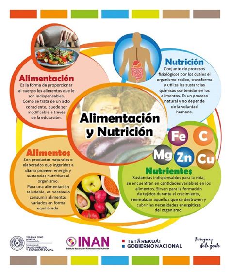 Alimentación y Nutrición Adecuada